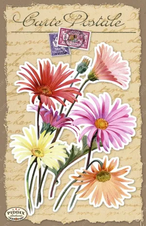 PDXC18486 -- French Florals