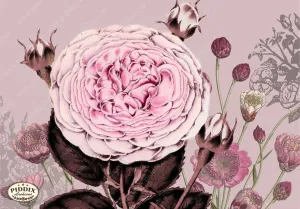 PDXC18872 -- Flower Collage