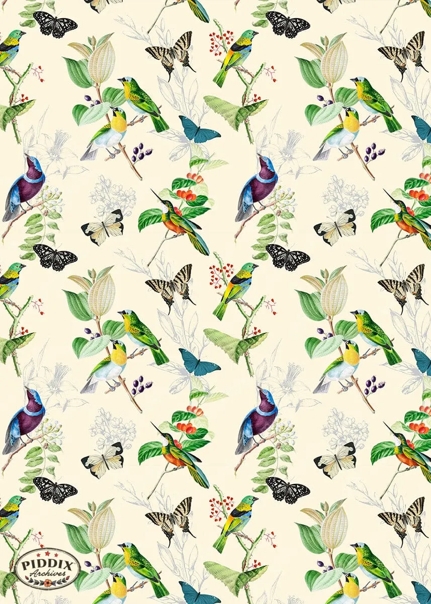 PDXC21032 Bird Pattern -- Birds Butterflies Flowers