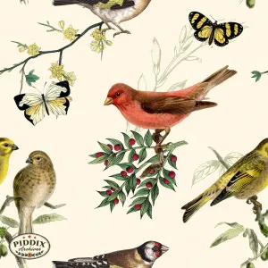 PDXC21035 Bird and Flowers -- Birds Flowers and Butterflies