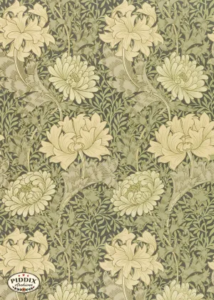 PDXC21725b -- Patterns William Morris