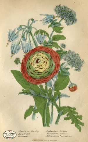PDXC2221 -- Flowers