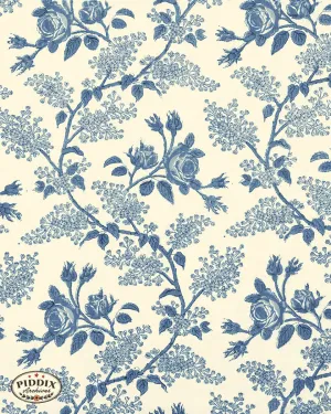PDXC23971 -- Toile Roses