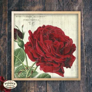 PDXC3835b -- Flowers on Distressed Wood
