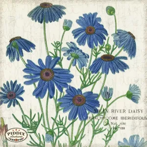 PDXC3977b -- Flowers on Distressed Wood