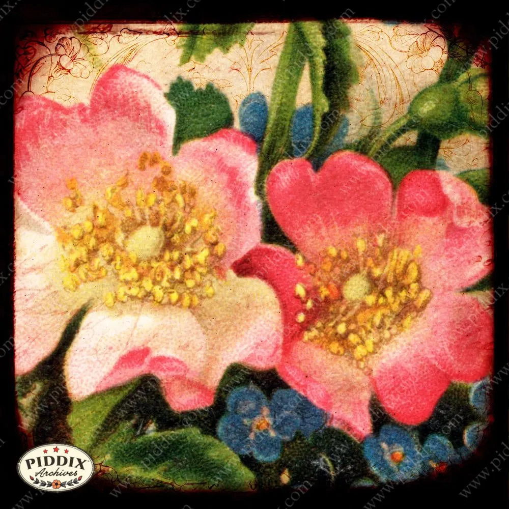 PDXC5101 -- Flora & Fauna