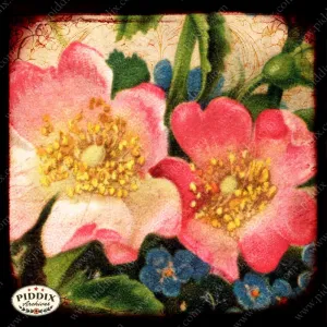 PDXC5101 -- Flora & Fauna