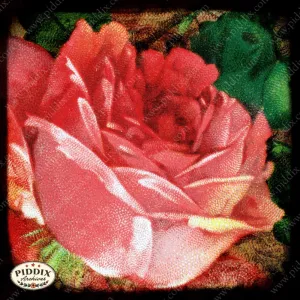 PDXC5104 -- Flora & Fauna