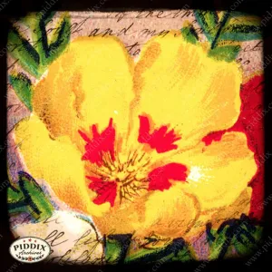 PDXC5108a -- French Seed Packets