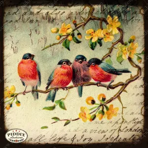 PDXC5111h & f -- Flora & Fauna