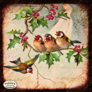 PDXC5117 -- Flora & Fauna