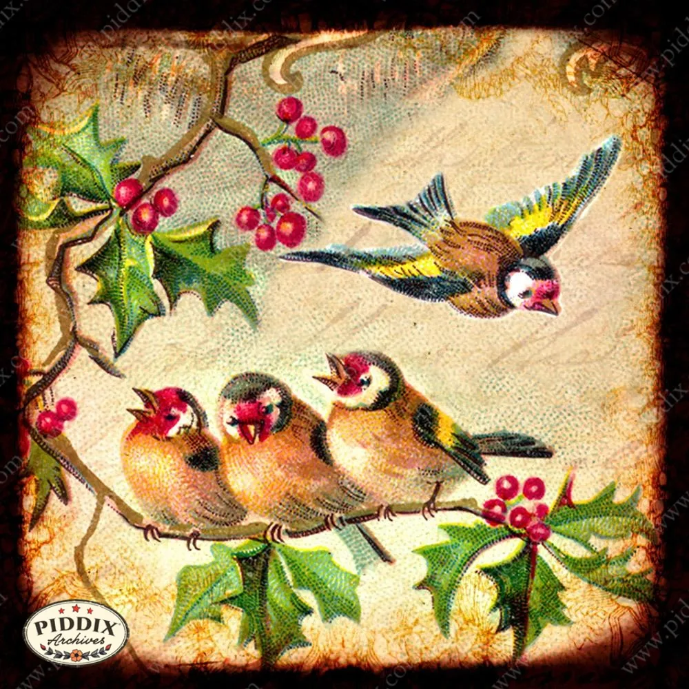 PDXC5117 -- Flora & Fauna