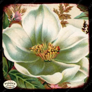 PDXC5121 -- Flora & Fauna