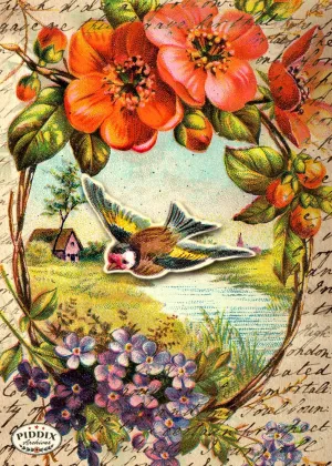 PDXC5123 -- Flora & Fauna