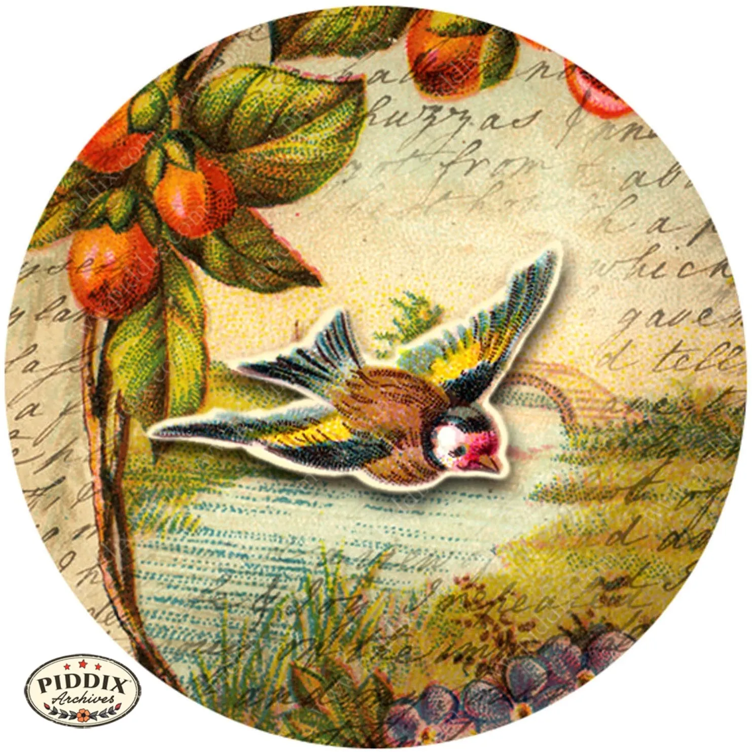 PDXC5123 -- Flora & Fauna