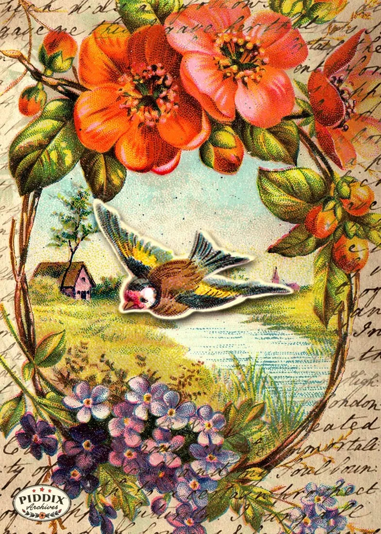 PDXC5123 -- Flora & Fauna