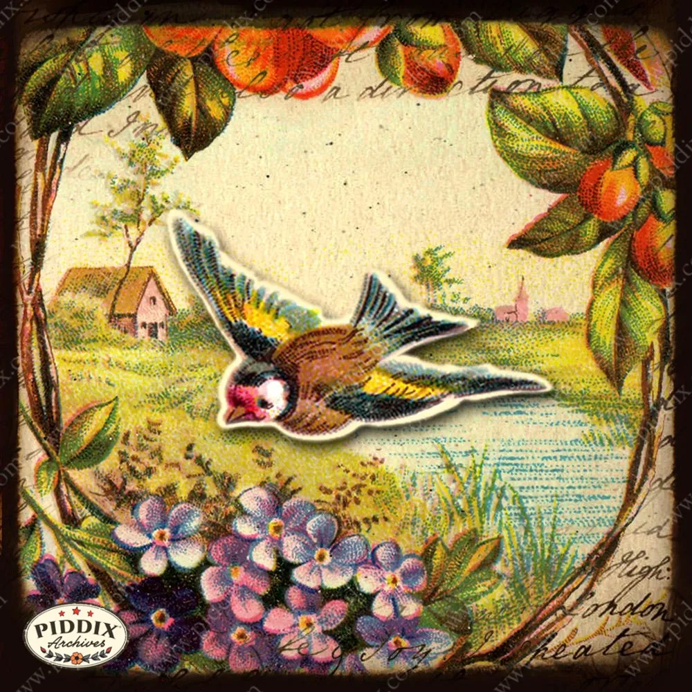 PDXC5123 -- Flora & Fauna