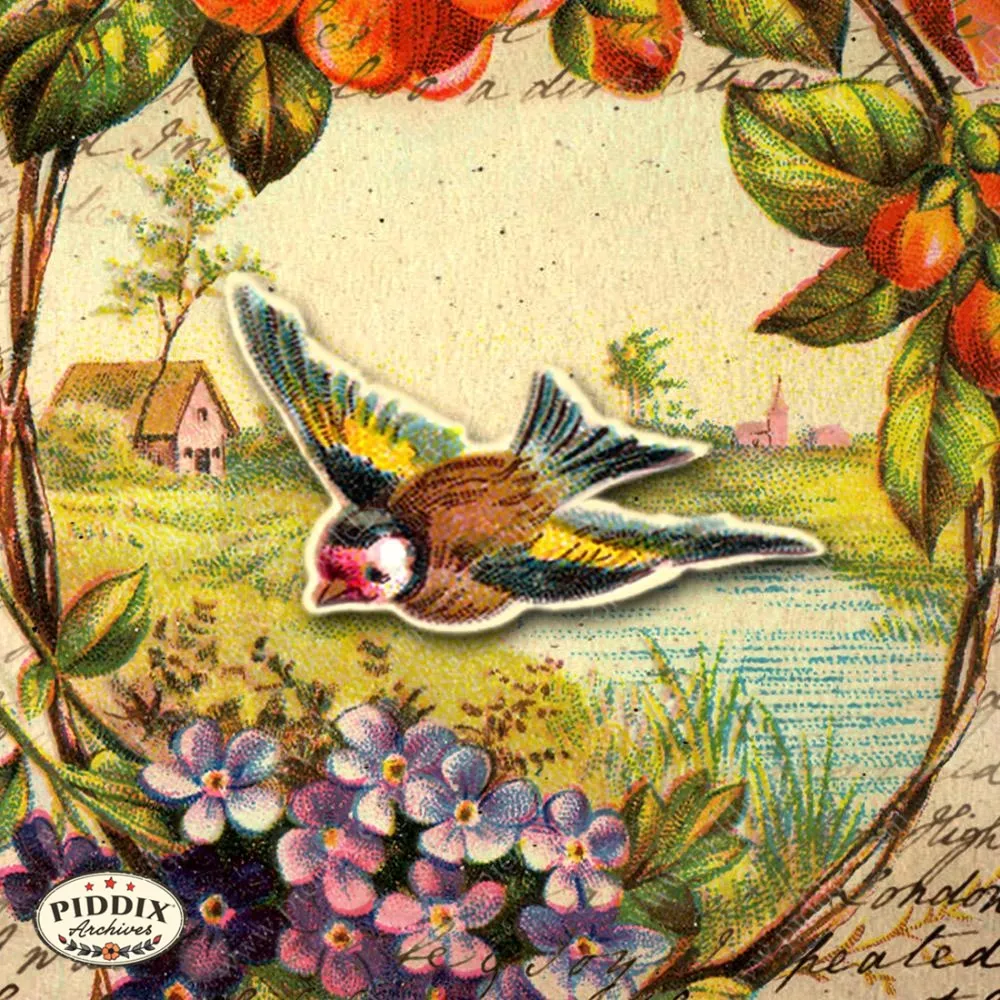 PDXC5123 -- Flora & Fauna