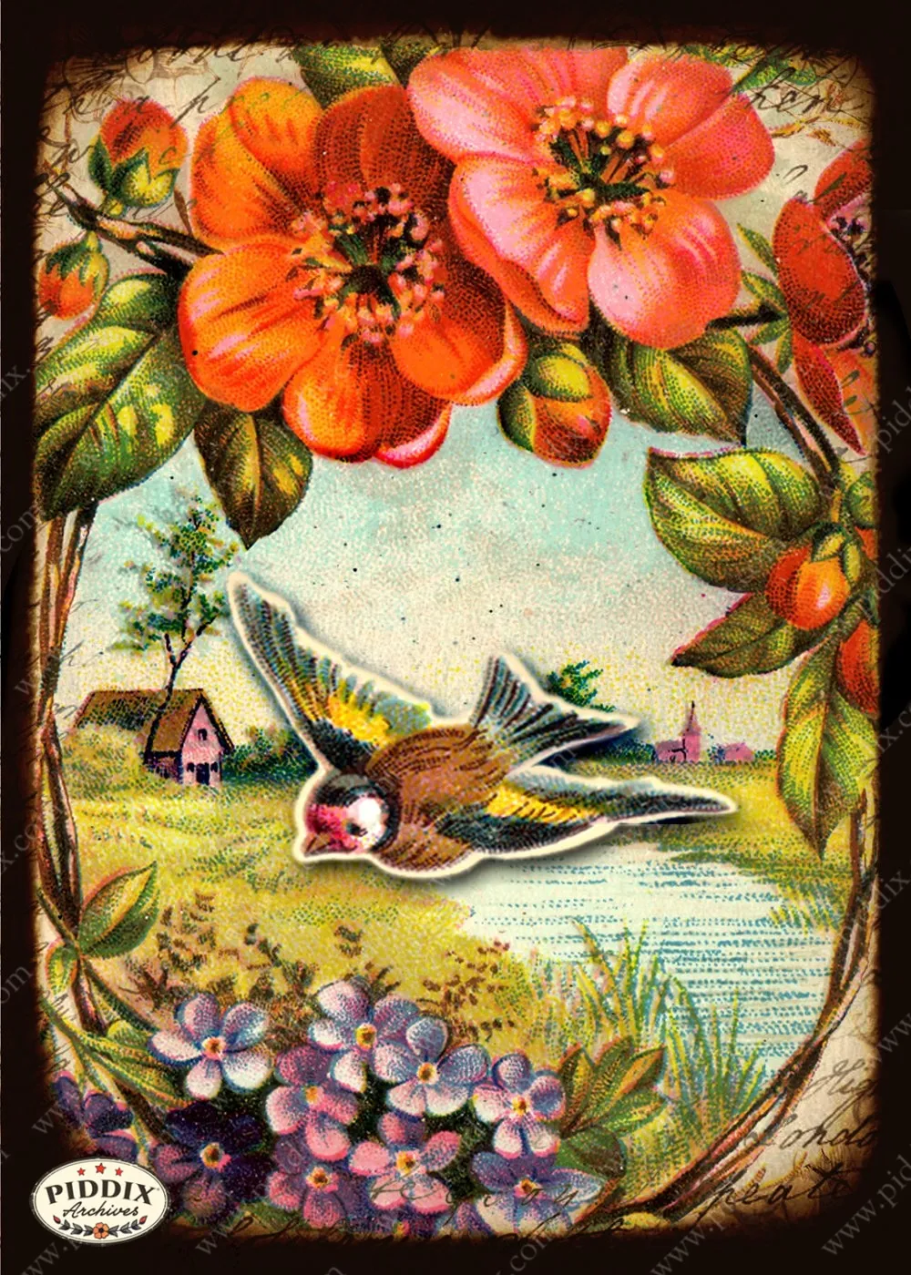 PDXC5123 -- Flora & Fauna