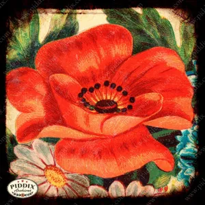 PDXC5124 -- Flora & Fauna