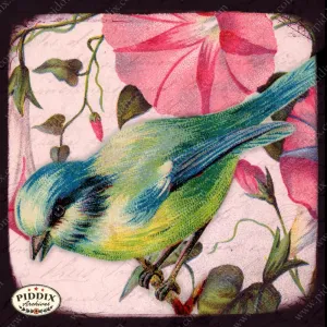 PDXC5127 -- Flora & Fauna