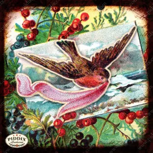 PDXC5132 -- Flora & Fauna
