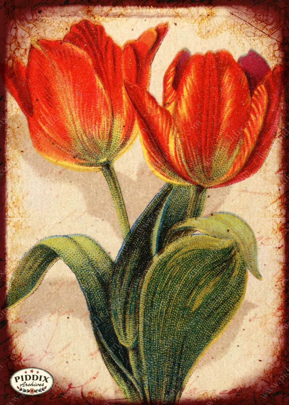 PDXC5133 -- Flora & Fauna