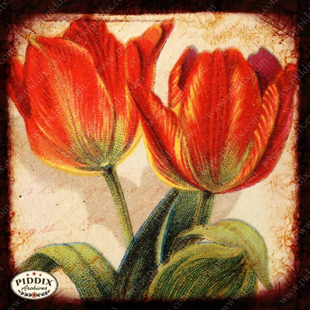 PDXC5133 -- Flora & Fauna