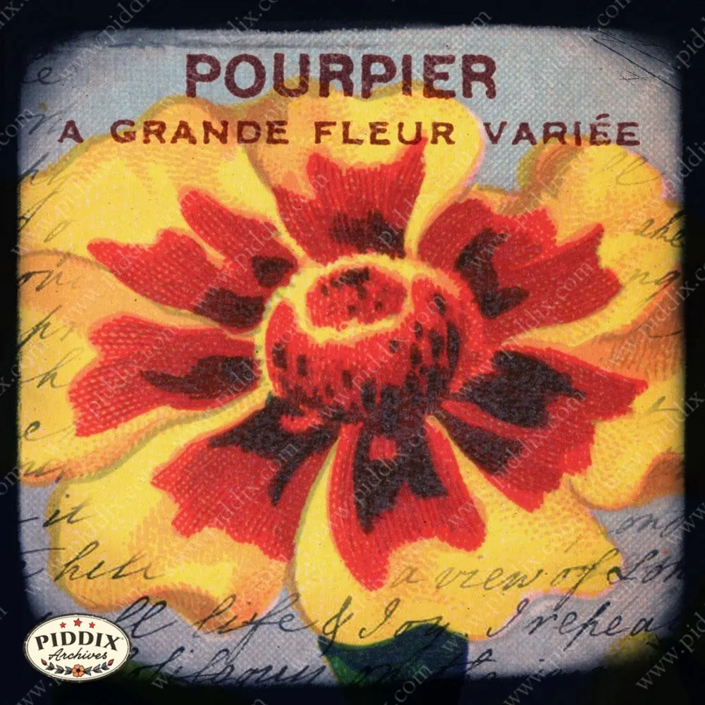 PDXC5135b & PDXC5460 -- French Seed Packets