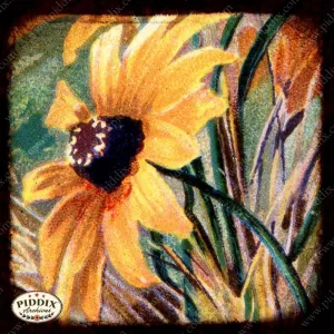 PDXC5137 -- Flora & Fauna
