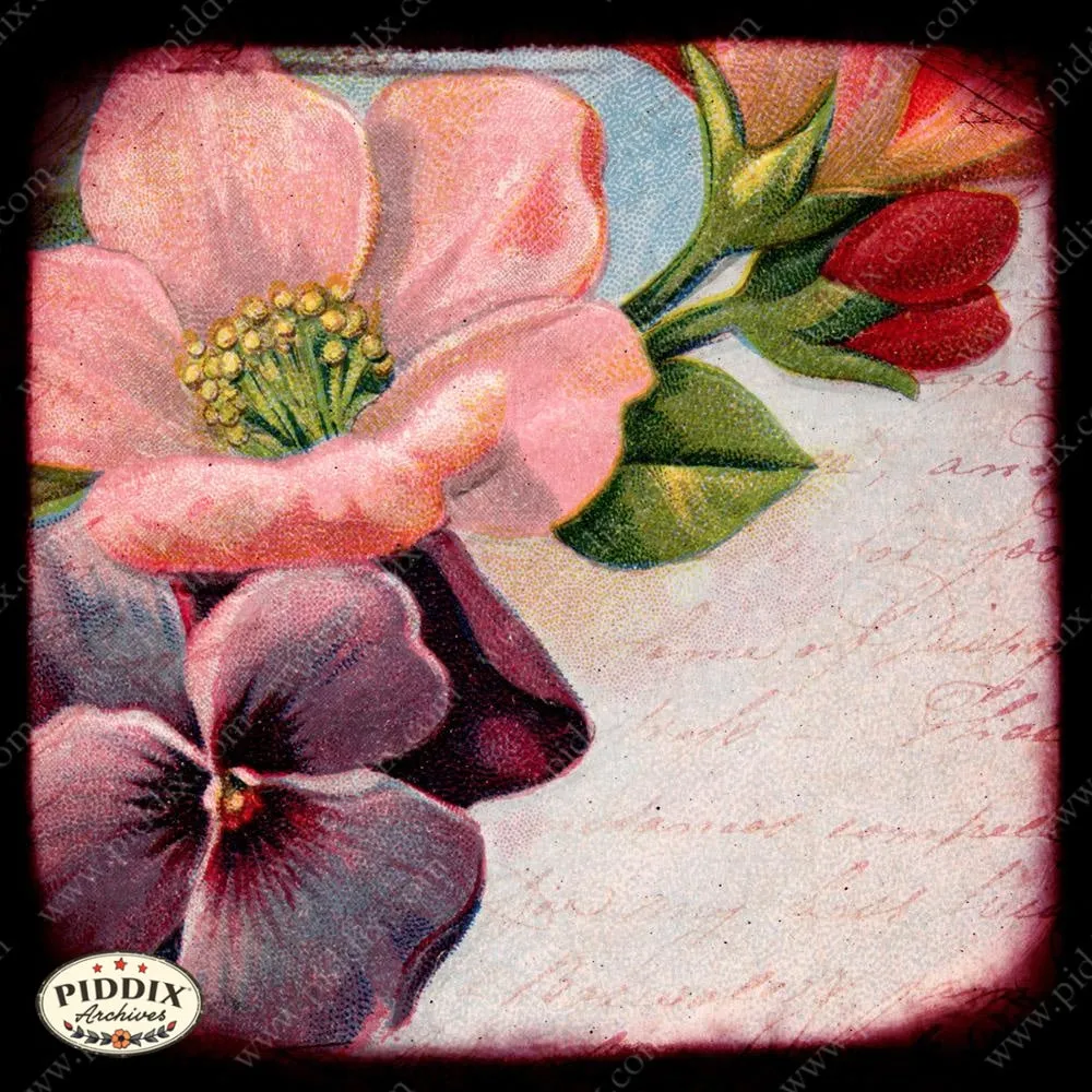 PDXC5140 -- Flora & Fauna