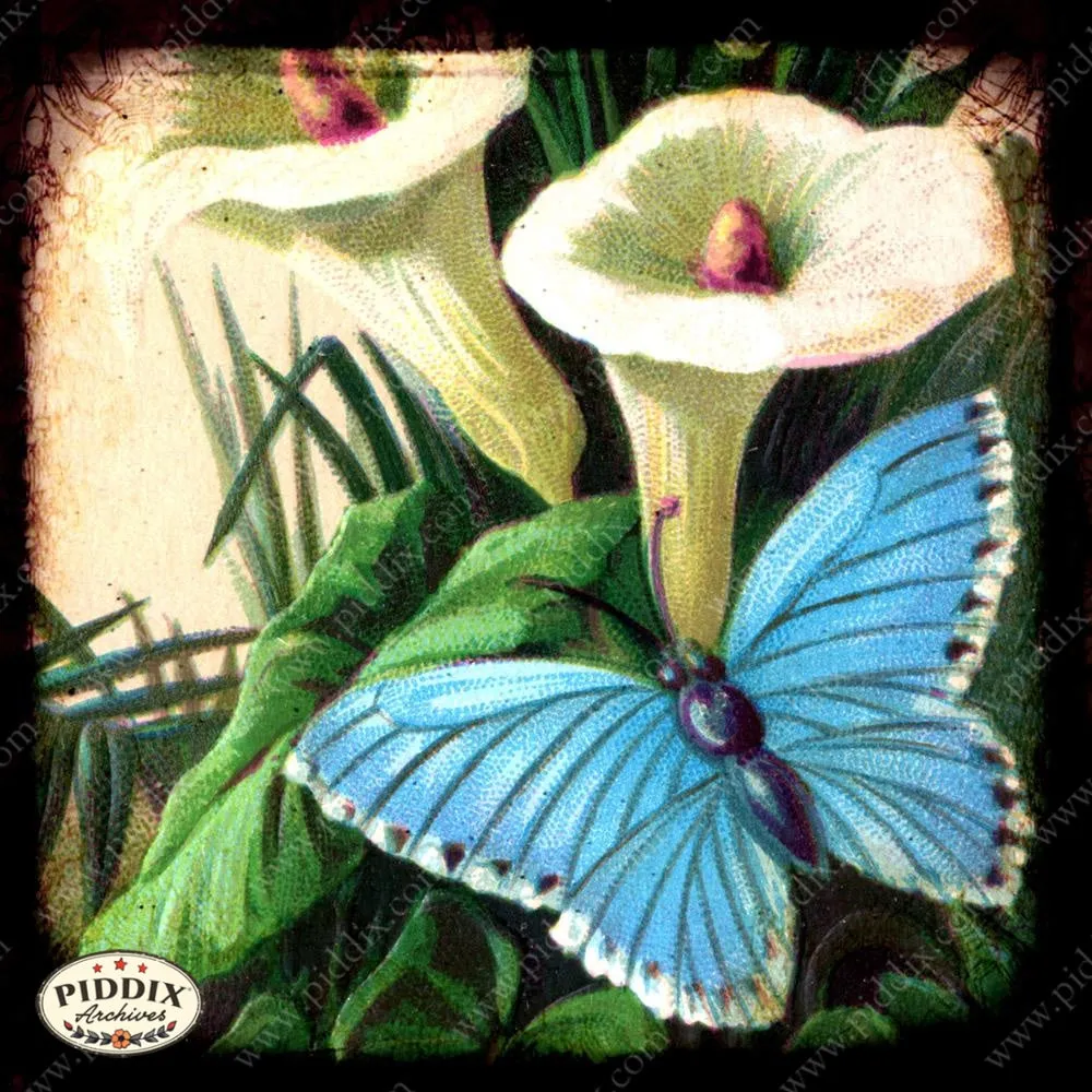 PDXC5143 -- Flora & Fauna