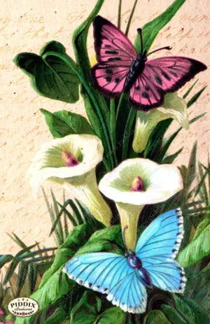 PDXC5143 -- Flora & Fauna