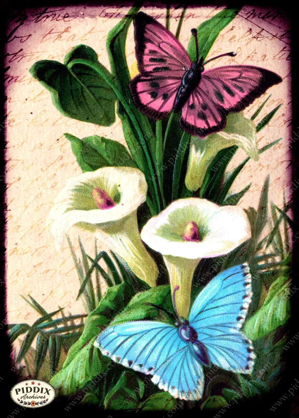 PDXC5143 -- Flora & Fauna