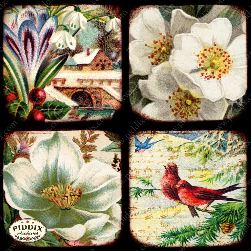 PDXC5149a -- Flora & Fauna