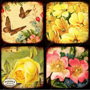 PDXC5152a -- Flora & Fauna