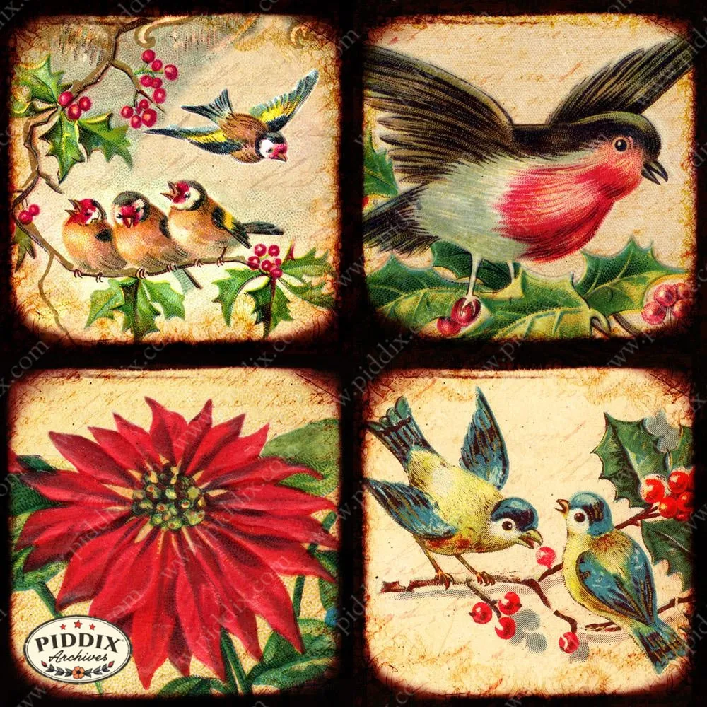 PDXC5160a -- Flora & Fauna