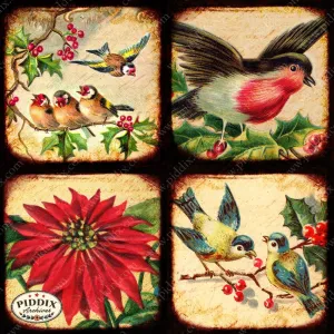 PDXC5160a -- Flora & Fauna
