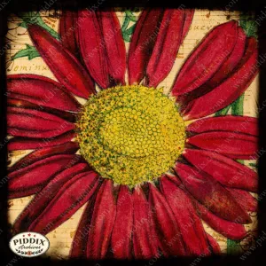 PDXC5444 -- Flora & Fauna