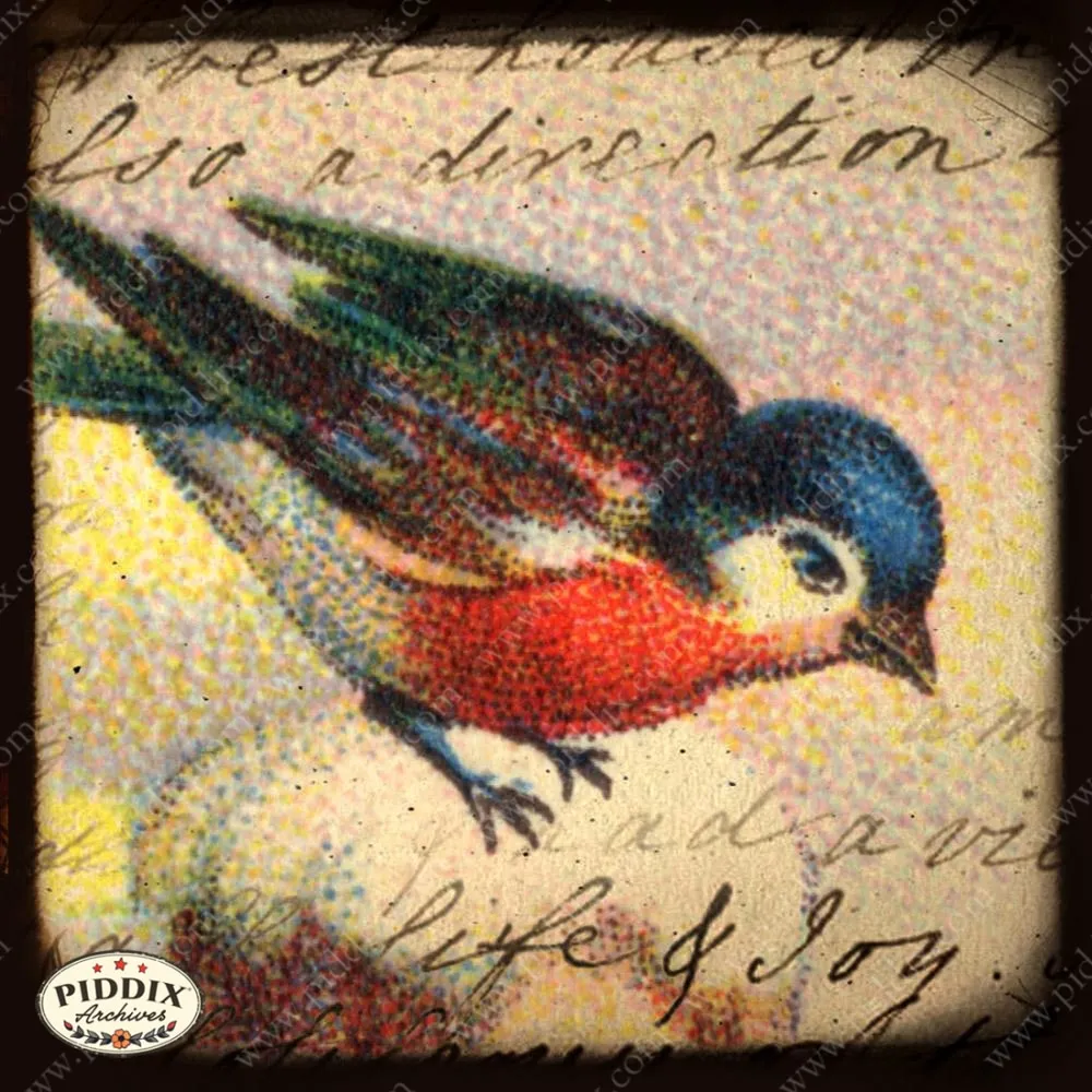 PDXC5446 -- Flora & Fauna