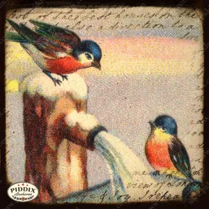 PDXC5446 -- Flora & Fauna