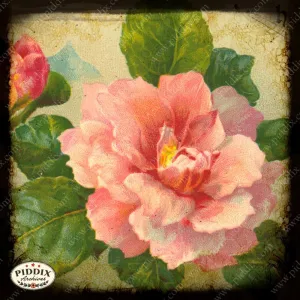 PDXC5447b -- Flora & Fauna