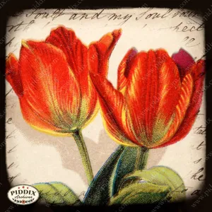 PDXC5457 -- Flora & Fauna