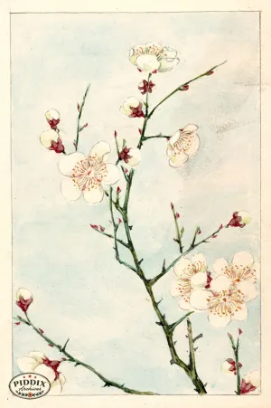 PDXC5485  -- Vintage Watercolor Florals