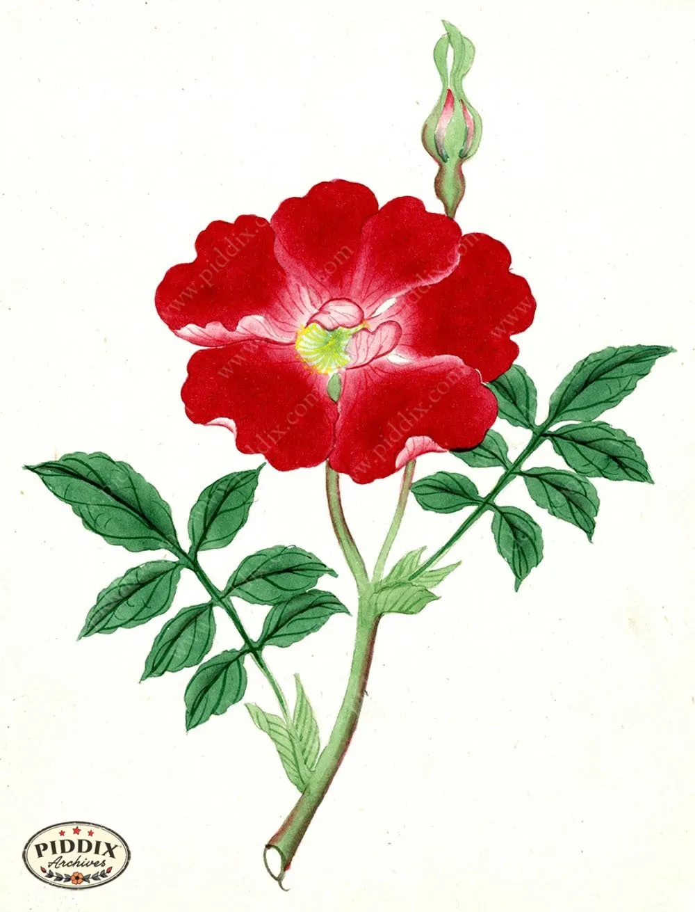 PDXC5514  -- Japanese Watercolors
