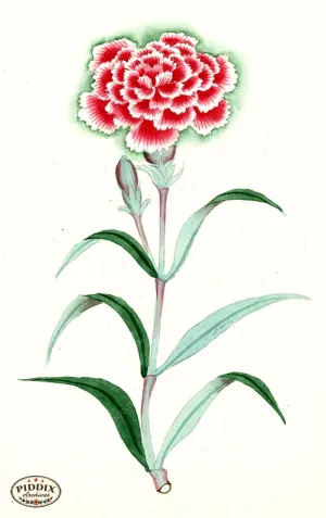 PDXC5516  -- Japanese Watercolors