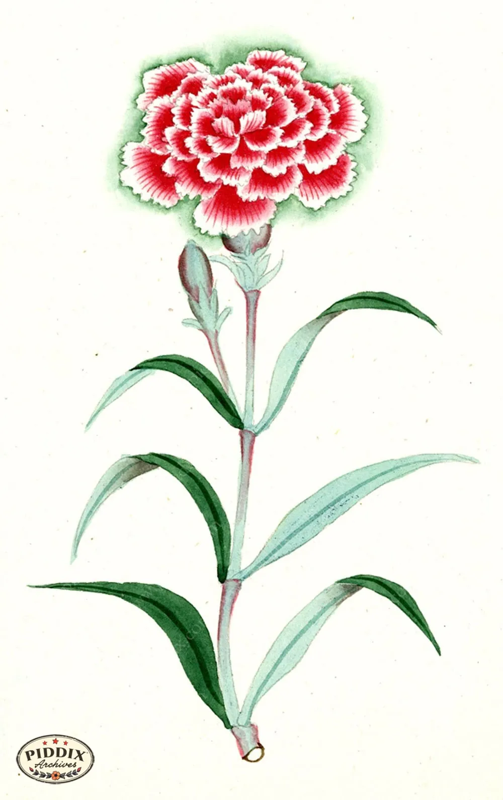 PDXC5516  -- Japanese Watercolors
