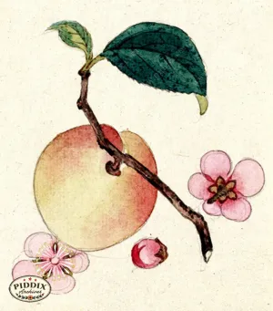 PDXC5527  -- Japanese Watercolors