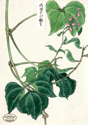 PDXC5529  -- Japanese Watercolors