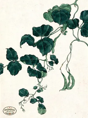 PDXC5531  -- Japanese Watercolors